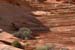 Strata